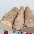 안동마 이미지