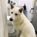 제이더블유 주식회사 이미지