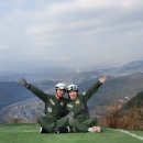 아이비국제결혼