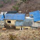 김씨농장 이미지