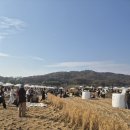 북구행복나눔푸드마켓 | [칠곡축제] 논위에서 행복했던 하루 땡스기빙마켓 후기