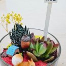 유현초병설유치원 이미지