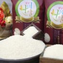 함평군농협쌀조합공동사업법인 이미지