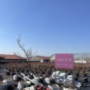 토끼사육장 인근(배봉산) | 딸기농장] 딸기체험🍓&amp;동물 먹이주기🐰🐑&amp;불멍까지, 포레스트벨 체험농장 후기!(아이와 가볼만한 곳 추천)