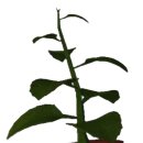 도어즈 - 당진시 | 도어즈