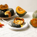 디제이팜 이미지