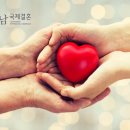 짝국제결혼 이미지