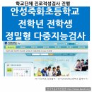 죽화초등학교 | 학교단체진로검사,경기 안성죽화초등학교 정밀형 다중지능검사 활용