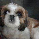 종로-종로-종로-종-119 이미지