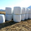 아세아목장 이미지