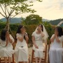 스테이담 이미지