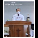 설교 - 20230423 - "벚나무" - 이사야 60징 21~22절 - 부활절 셋째주일 - 이승천 목사 이미지