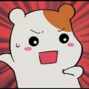닭발먹은새우
