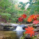 청송펜션 이미지