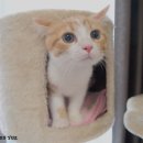 푸근푸근 이미지