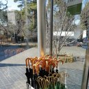 [일본/도쿄] 에도 도쿄 건축 정원 Edo-Tokyo Open Air Architectural Museum