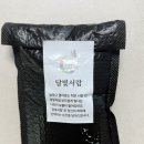 나는.가방 | 달빛서랍상점 인형키링으로 완성한 나만의 가방꾸미기 이니셜키링 후기