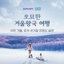하나투어 이미지