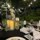 아일랜드 앤 코 이미지