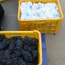 상주모동우체국 이미지