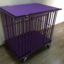 펫테이블 이미지