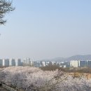 덕풍천동로 이미지