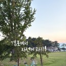 강릉대로 | 🏖️여름 조아 바다 조아 여름휴가 in강릉🏖️