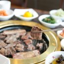 흥덕4로 15번길2 티스토리