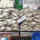 풍년꽃게 이미지