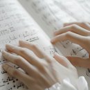 청음악기 - 여수시 새터로 86 | 청음악기