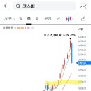 최근 급락에 대한 생각 이미지