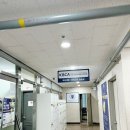 신선생요리전문학원 | 동탄제과제빵학원 강승희요리실용전문학교 쿠키슈 클래스 후기