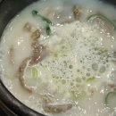 제주말고기 마리조아 조아코스 혼밥 후기