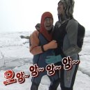 아토 강아지 미용실 | 급성 블태기가 온 여자