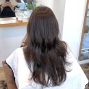 멋내기 헤어샵 | 대구슬릭펌 대구볼륨매직 대구레이어드펌 대구염색 대구헤어샵후기,