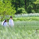 정선군문화예술회관 이미지