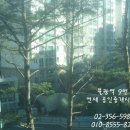 찬이공인중개사사무소 이미지