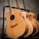 통기타(심화) 이미지