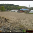 청용가든 이미지