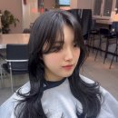 NR-14[반송로]-상-14 | 부시시한 곱슬 정리하는 레이어드펌, 연산동 콘크리트 헤어 다니엘 시술 후기”