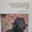 슈엔차이나