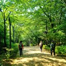 봉화대근린공원 - 2439 | 봉화대근린공원