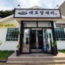 대포칼제비 이미지