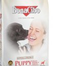 하이 에너지 이미지