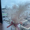 스테이아웃도어스 이미지