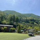 샵아이스크림 | 엄마랑 충주 여행: 활옥동굴, 입장료, 와사비 아이스크림, 기프트샵, 만족 후기
