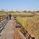 대장천생태하천 이미지