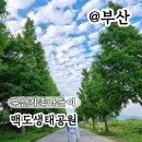 성암공원야구장(주말,하절기) | 부산 가족나들이 맥도생태공원 피크닉 주차