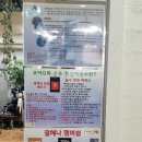 오해석헤어두피 이미지