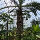 피어하우스나무(PEERHAUS) | [창원] 기대없이 갔다가 사진 폭팔한곳, 창원 농업테마파크 후기